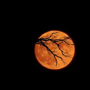 天青色等烟雨「粤降调版」