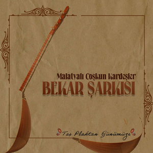 Güvercin Vurdum Kalkmaz