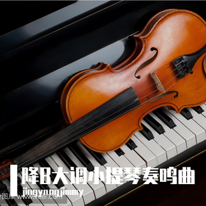 降B大调小提琴奏鸣曲第一乐章