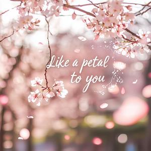 꽃잎처럼 너에게