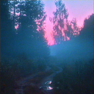 wildwind (slowed)