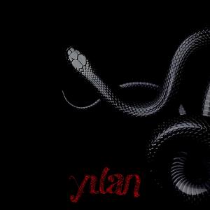 Yılan