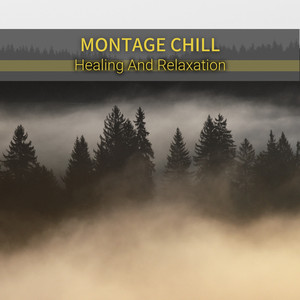 An Instrument of Calm