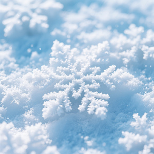 雪化粧