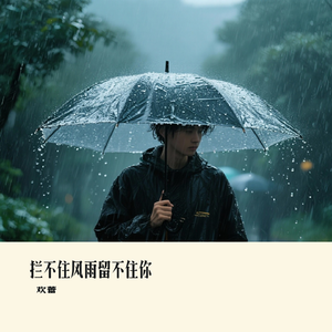 拦不住风雨留不住你