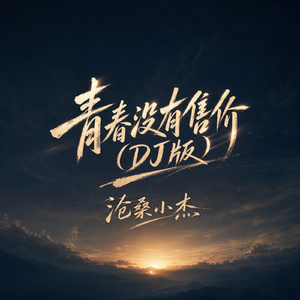 青春没有售价(DJ版)
