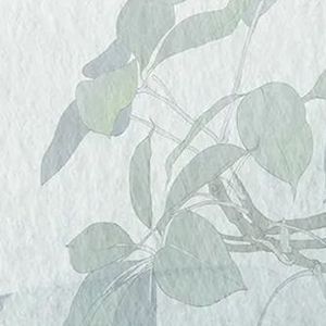 世上只有妈妈好live