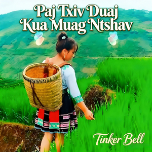 Paj Txiv Duaj Kua Muag Ntshav (纯音乐)