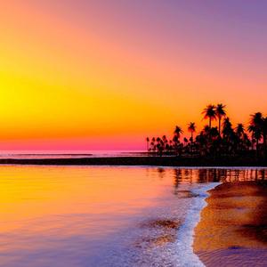 LePiacere Tropicale