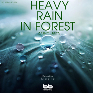 Rain Sound at Forest
