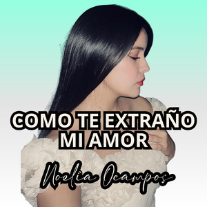 Como Te Extraño Mi Amor