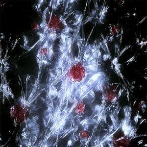 Heart（Ft.PeanutYou)