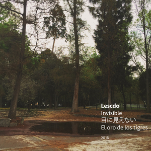 El Oro de los Tigres