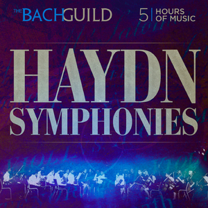 Symphony No 73 in D Major "La Chasse", Hob.I:91: II. Andante