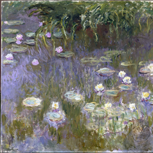 Wariacje na temat J. Donjon