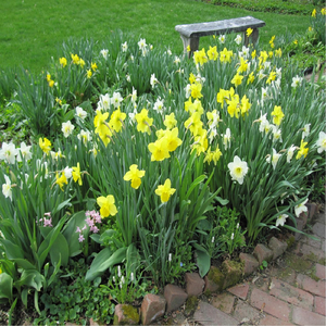 One More Walk Around the Garden