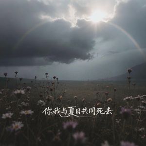 你我与夏日共同死去