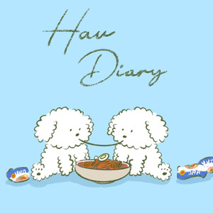 둘이서 비빔면 세개는 국룰이지