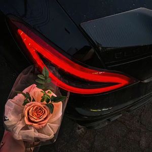 Automotivo Bibi Fogosa（纯音乐）)