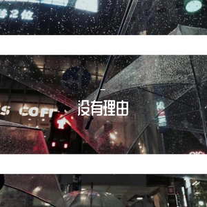 没有理由