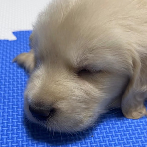 记忆备忘录demo Prod by HeyWiz