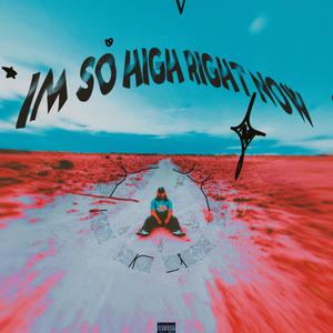 Im so high rig...well you get it