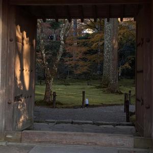 来世别再相遇 烟嗓船长