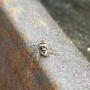 hold me down (feat. Dr3ythek!dd)