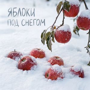 Яблоки под снегом