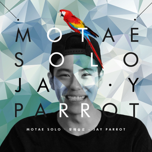 못해솔로