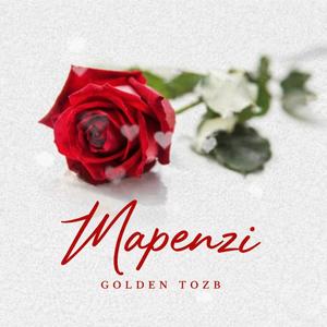 Mapenzi
