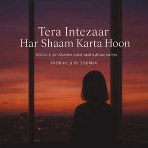 Tera Intezaar Har Shaam Karta Hoon