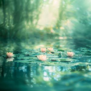 The Slumber of Water Lilies - 睡蓮のまどろみ