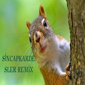 Cocuk muzikleri (Dogayi koruyalim)