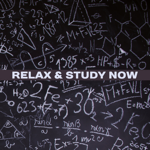 Divertissement sur des motifs originaux français in E Minor, D. 823: I. Tempo di marcia