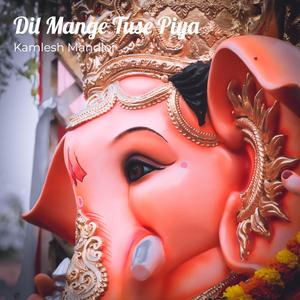 Dil Mange Tuse Piya