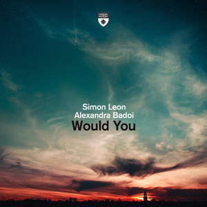Would You (Extended Mix)