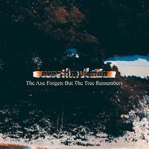 The Axe Forgets But The Tree Remembers