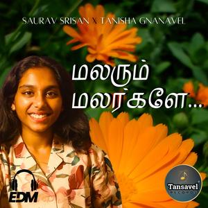 Malarum Malargaley (EDM Version)