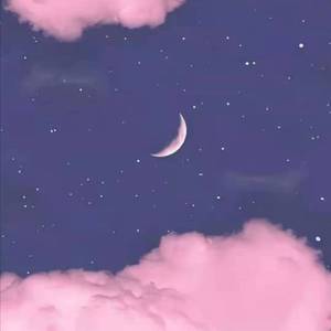 粉色童话（prod.Furyl）