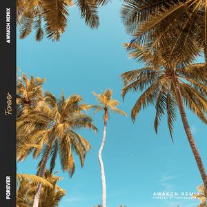 亚哲大大-Forever（Awakcn remix）