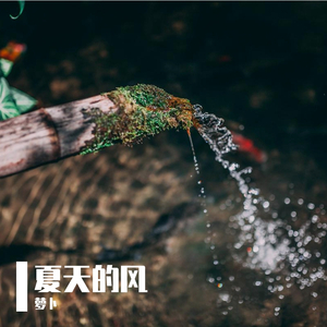 夏天的风