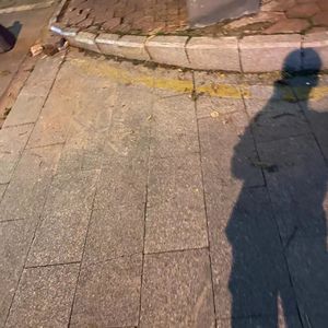 阳光不燥微风正好