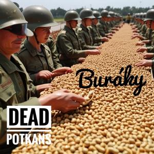 Buráky