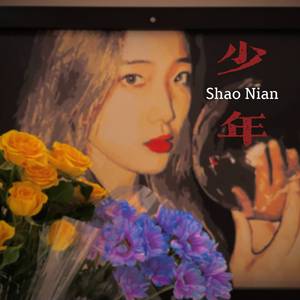 少年
