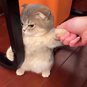 别让泪水伴我左右