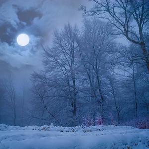 Winter Dream