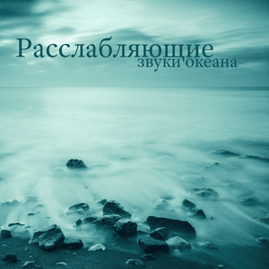 Визуализация