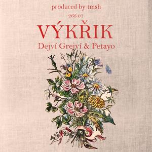 VÝKŘIK (feat. produced by tmsh)