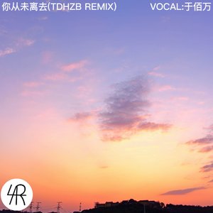 你从未离去(TDHZB Remix)